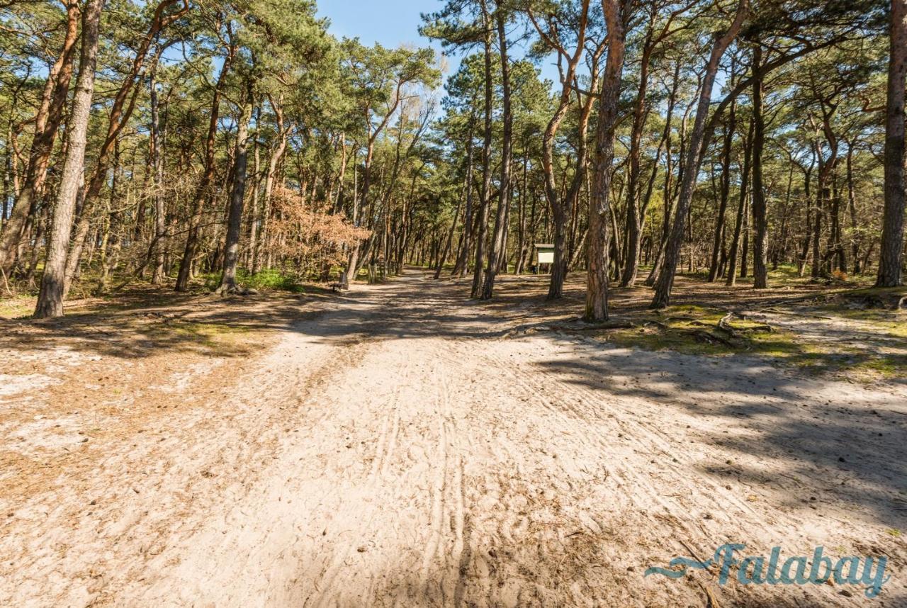 Domki Falabay Karwieńskie Błoto Dış mekan fotoğraf
